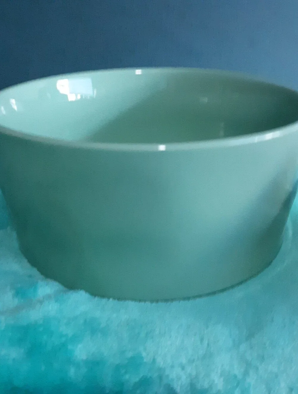 Rae Dunn Solid Blue Dog Bowl Nosh Ceramic New Large Magenta 8
